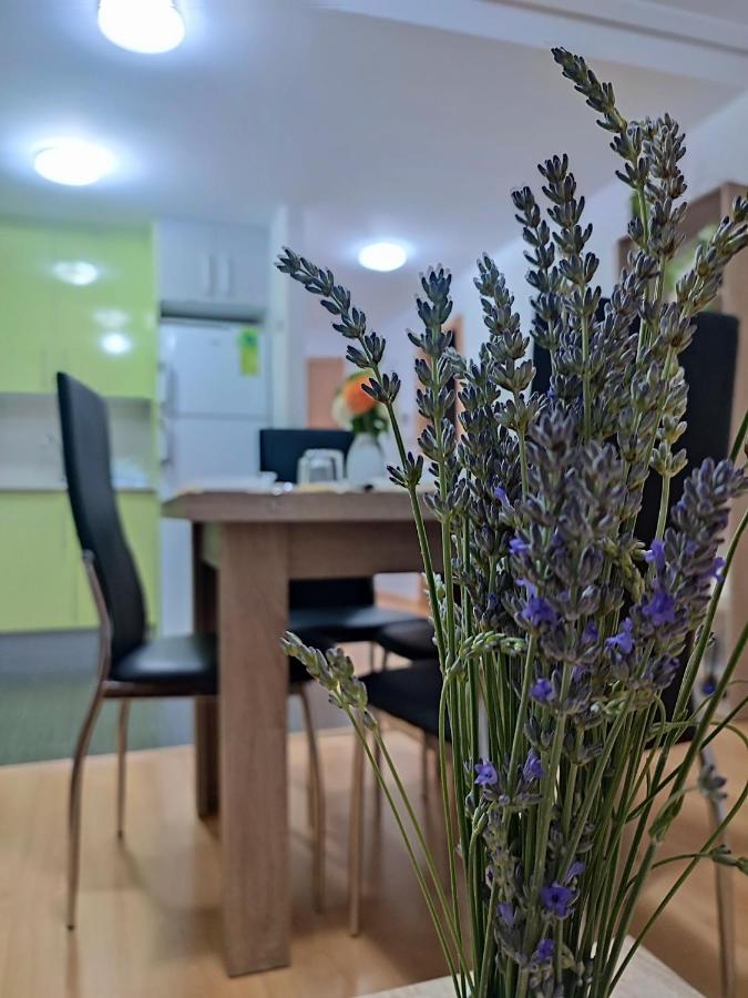 Apartamento Estrella De Teruel Zewnętrze zdjęcie